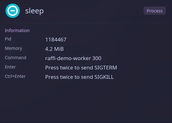 The preview of a disposable demo worker, showing its PID, memory, command and two-press SIGTERM and SIGKILL actions